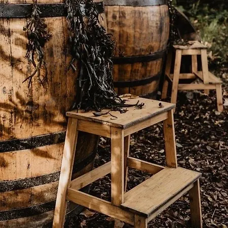 Beds Of Silk * Labasheeda