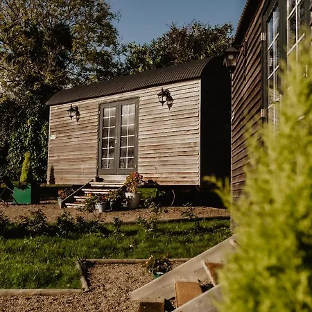 Beds Of Silk * Labasheeda