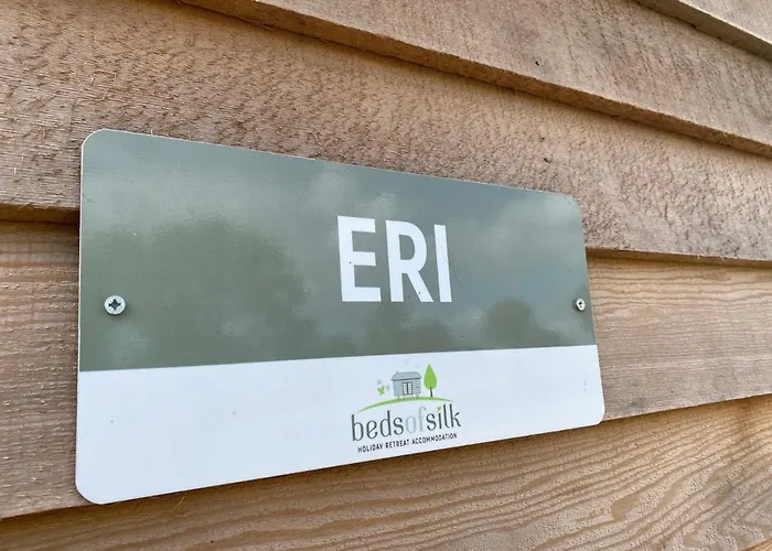 Beds Of Silk * Labasheeda